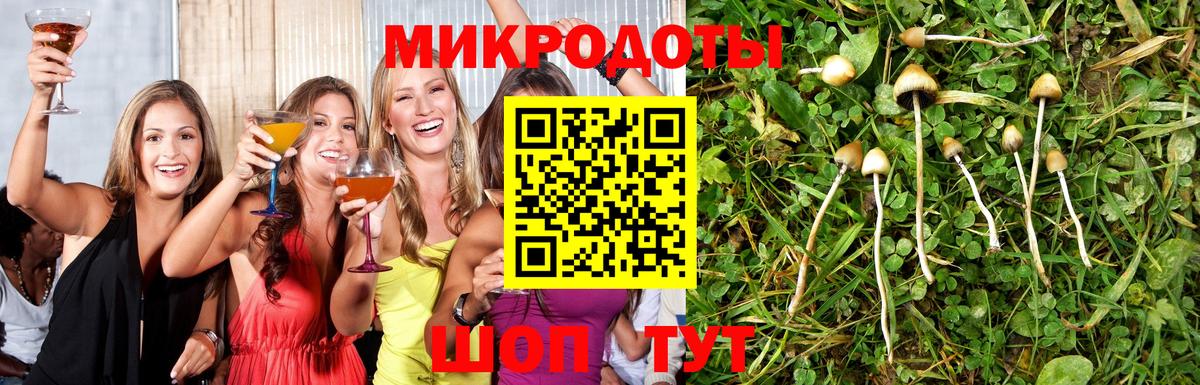 Псилоцибиновые грибы Psilocybine cubensis  дарнет шоп  Луховицы  Псилоцибиновые грибы GOLDEN TEACHER  Вход с VPN 