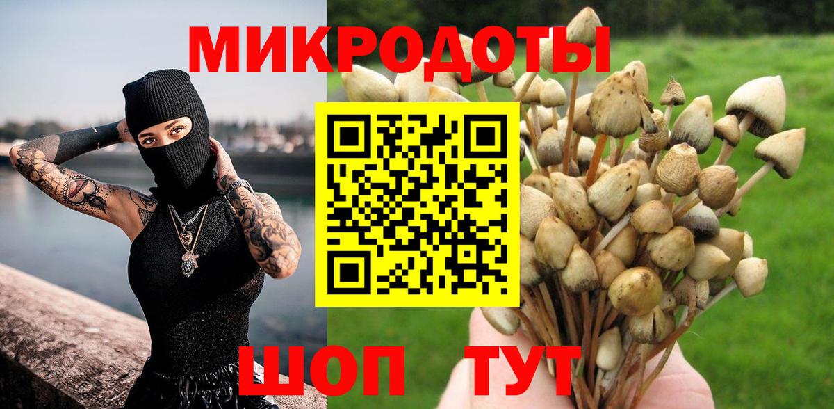 Галлюциногенные грибы мухоморы Луховицы